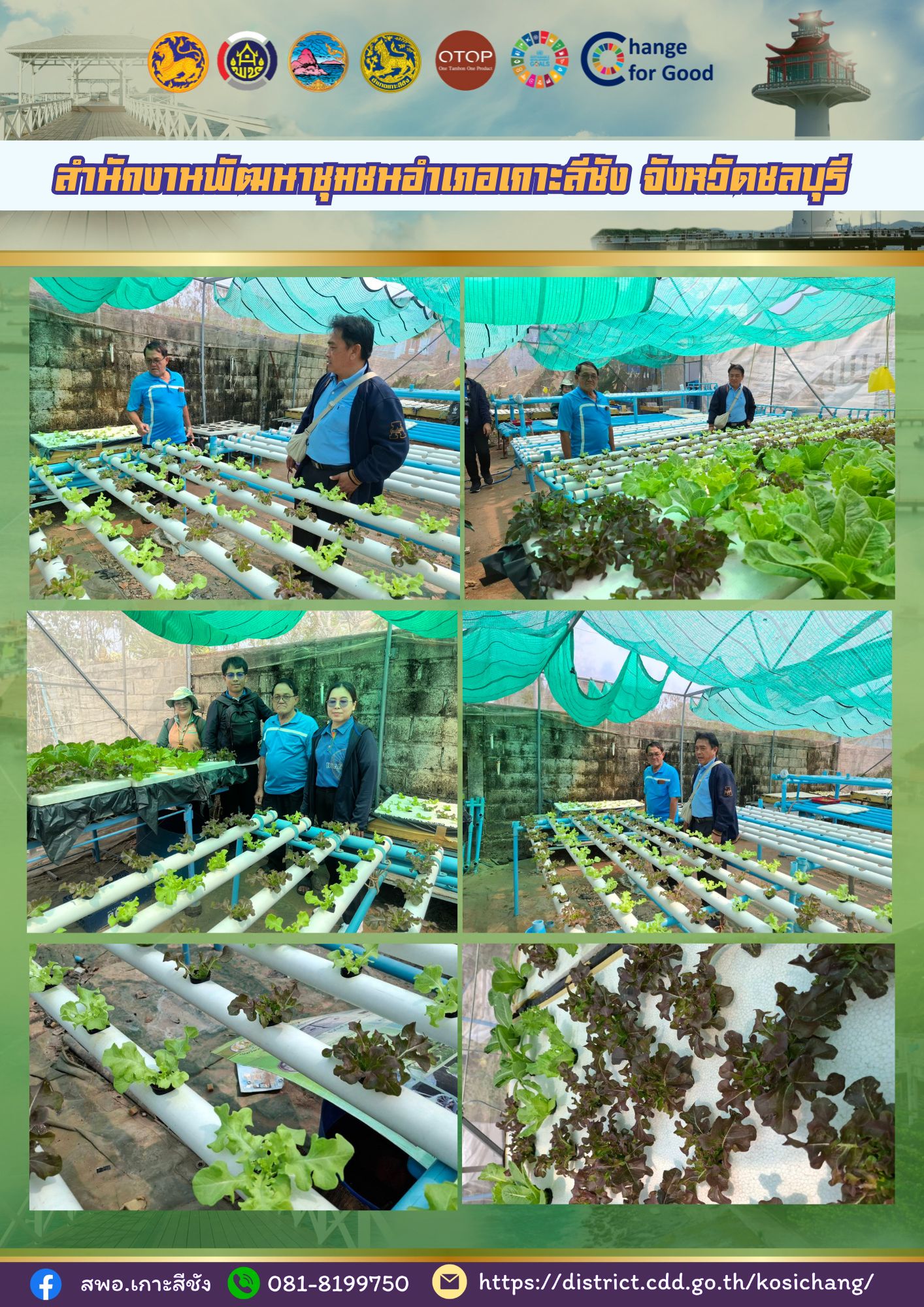 สำนักงานพัฒนาชุมชนอำเภอเกาะสีชัง ร่วมกับสำนักงานเกษตรอำเภอเกาะสีชัง ลงพื้นที่ติดตาม การเพาะชำผัก แบบ ไฮโดรโปรนิกส์ ณ บ้านนายสุรเชษฐ์ ทองจันทร์ ต.ท่าเทวงวงษ์ อ.เกาะสีชัง จ.ชลบุรี